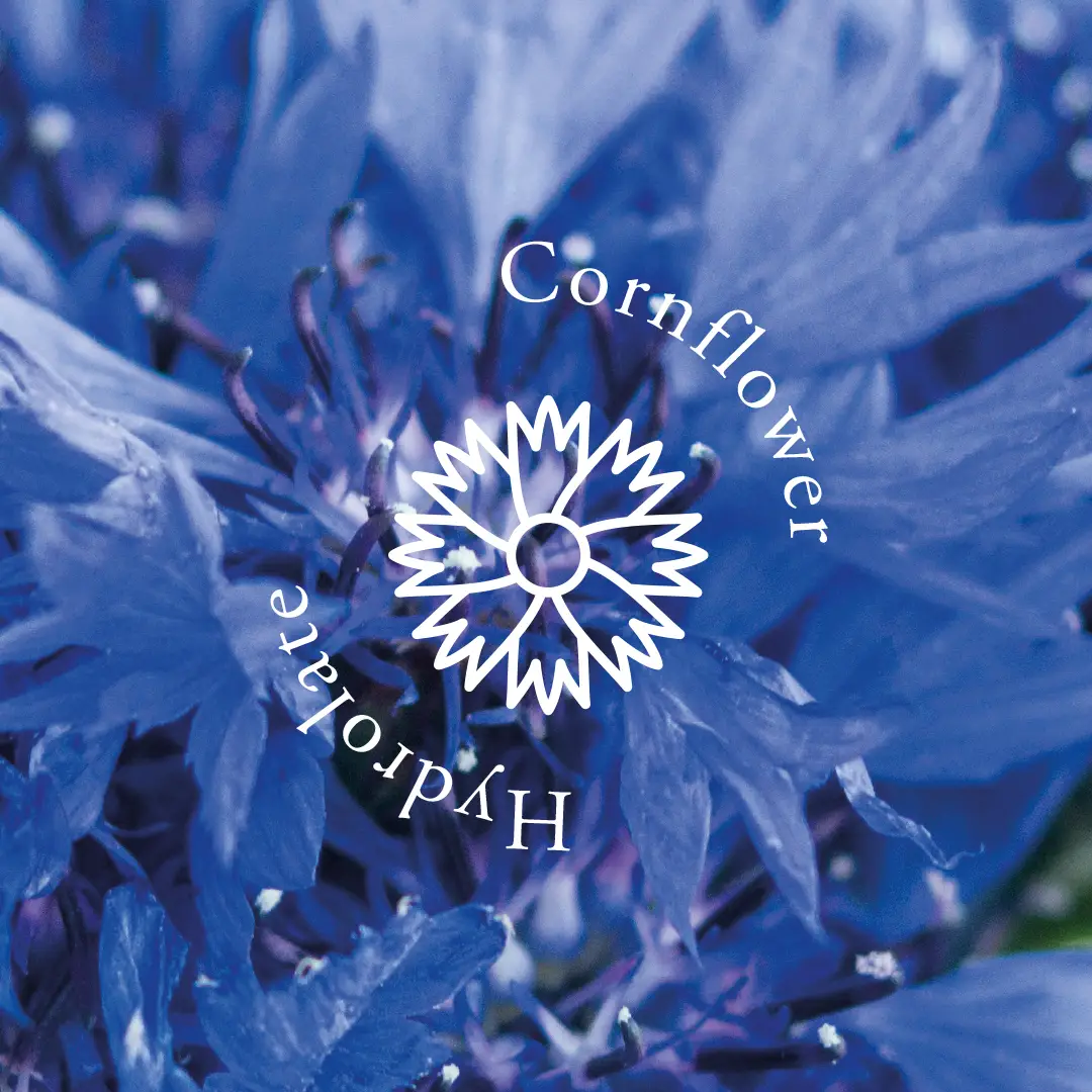 cornflower-hydrolate