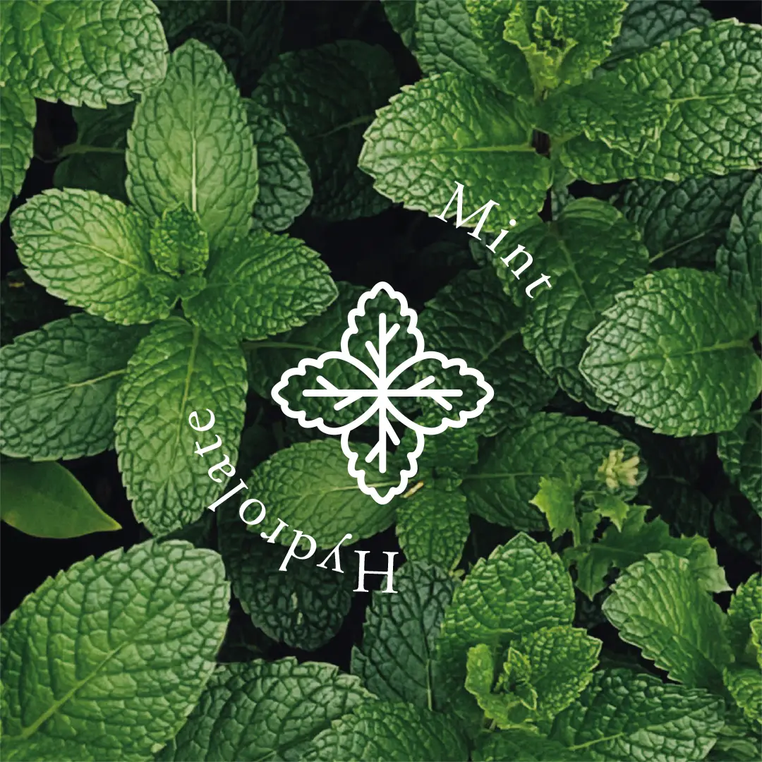 mint-hydrolate